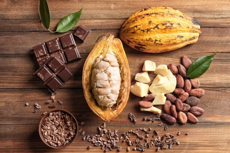Cocoa Farmers